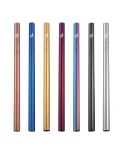 Paille Bubble Tea réutilisable - Inox