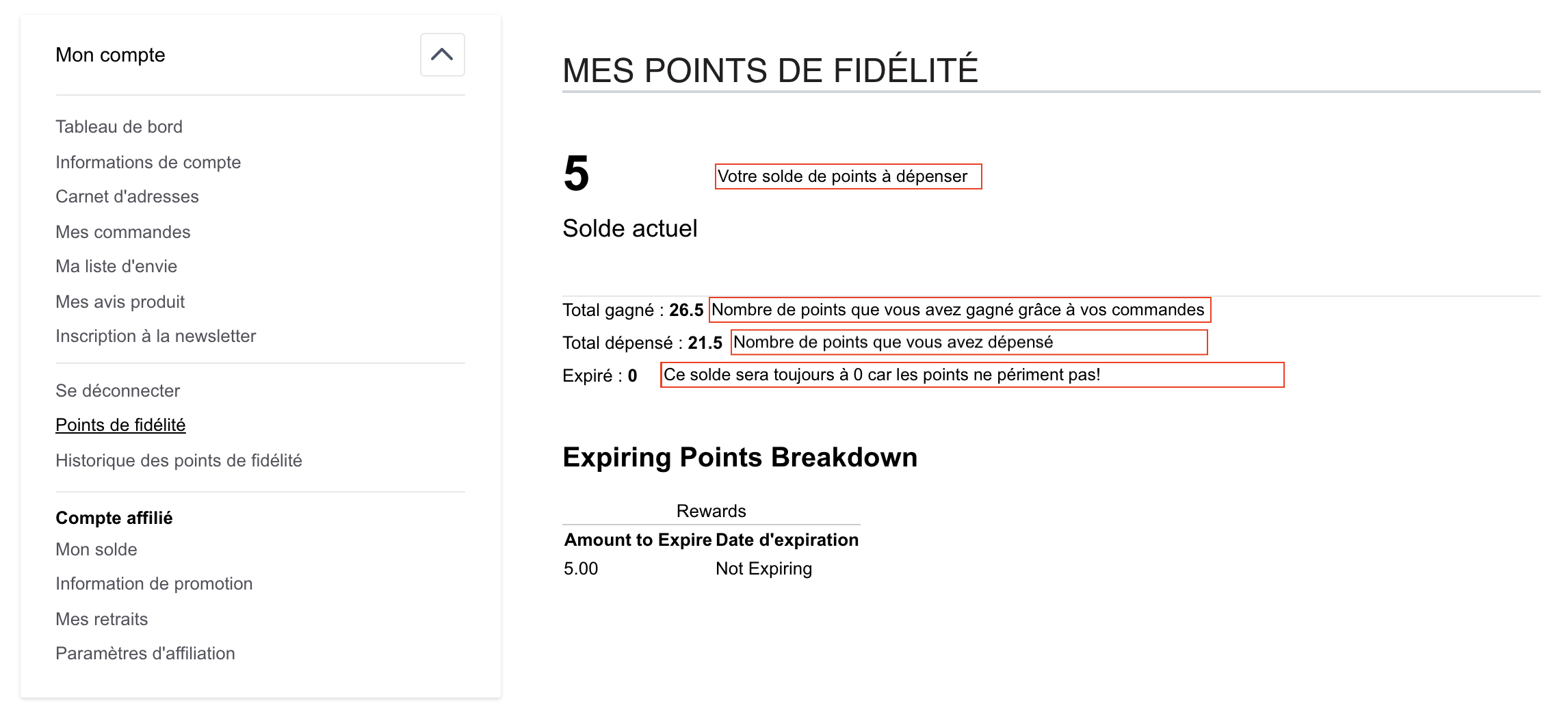 programme fidélité bubble tea